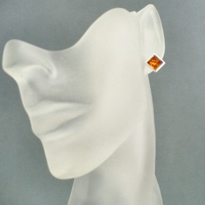 amber earrings 223a